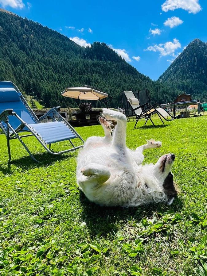 Chalet Sunshine Livigno Exteriör bild