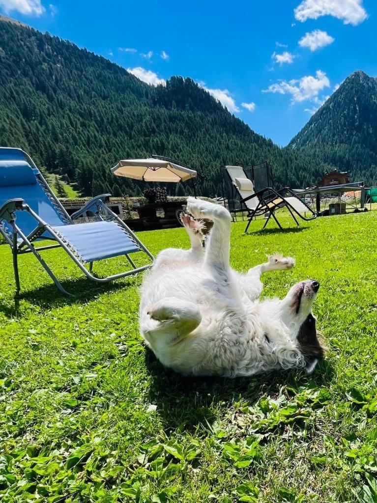 Chalet Sunshine Livigno Exteriör bild
